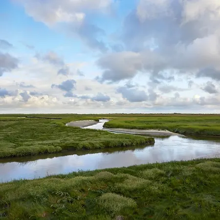 Apartment Hus Am Wall - Reetdachapartments - St. Peter Ording *
